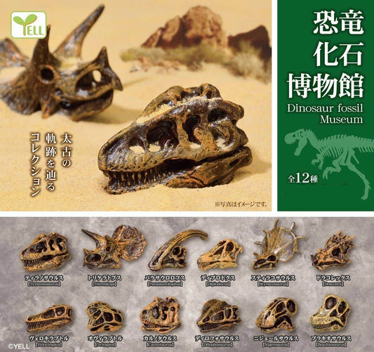 BCmini - Dinosaur Fossil Figurine Capsule-12 - BCmini