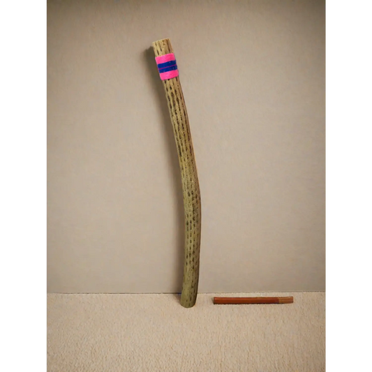 30” Rainstick - Lunar Squirrel’s Puntique