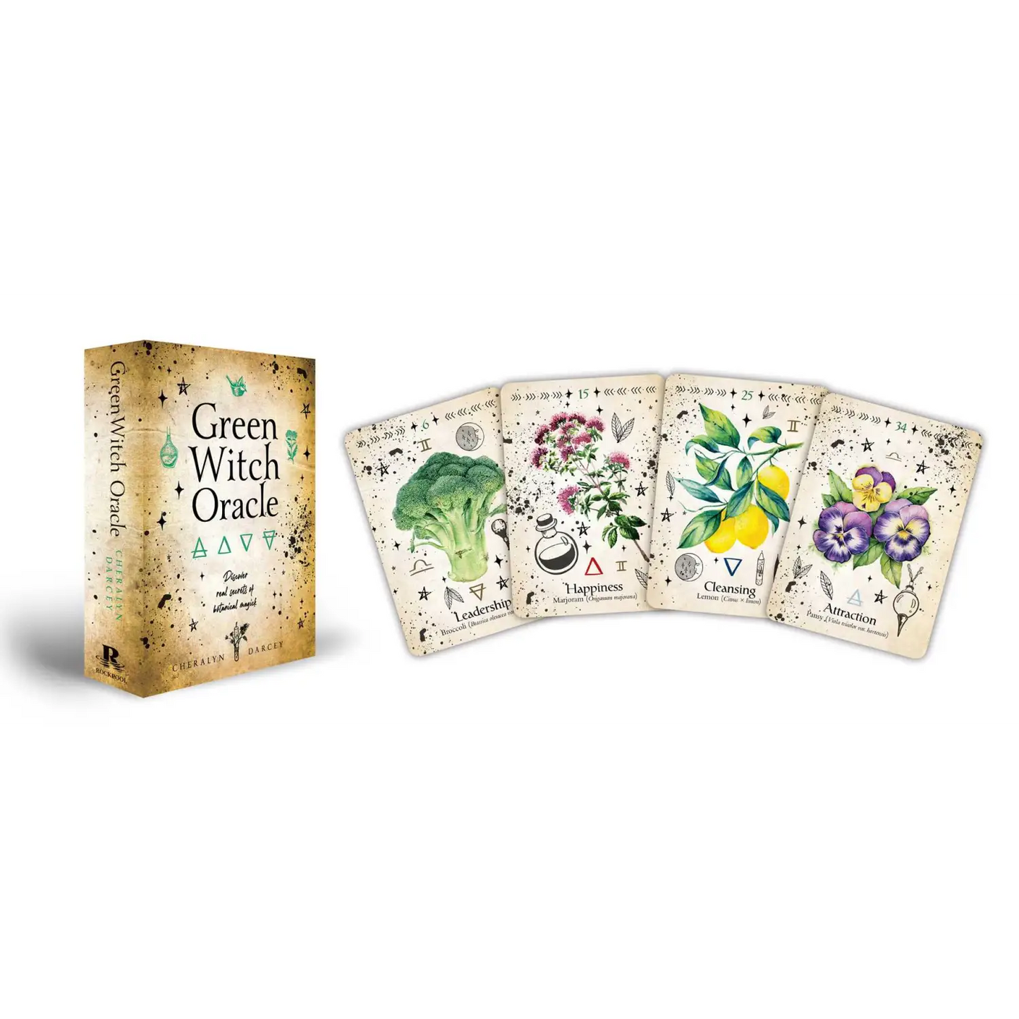 Simon & Schuster - Green Witch Oracle Cards by Cheralyn Darcey - Lunar Squirrel’s Puntique