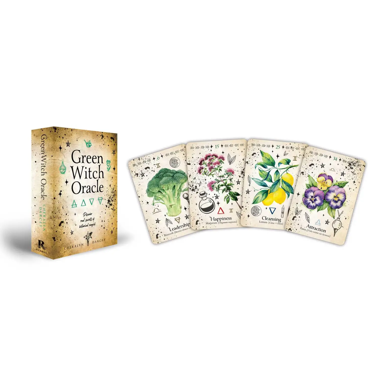 Simon & Schuster - Green Witch Oracle Cards by Cheralyn Darcey - Lunar Squirrel’s Puntique