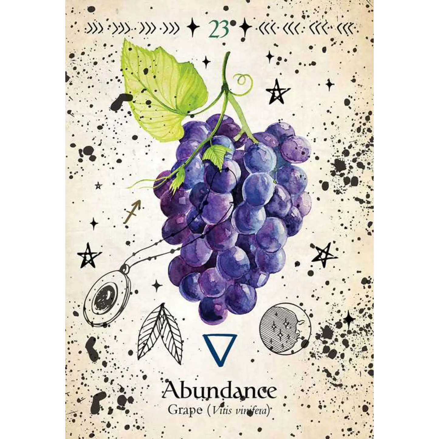 Simon & Schuster - Green Witch Oracle Cards by Cheralyn Darcey - Lunar Squirrel’s Puntique