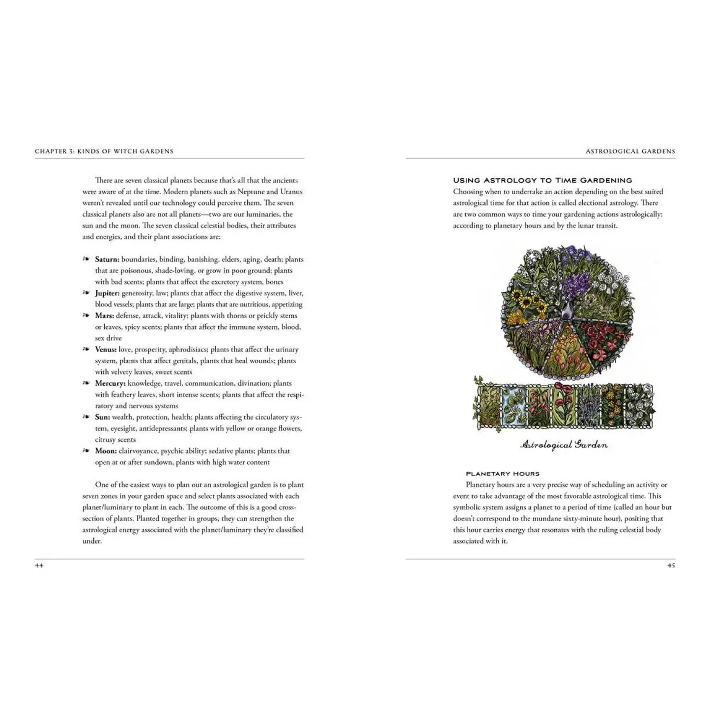 Simon & Schuster - Green Witch's Garden by Arin Murphy-Hiscock - Lunar Squirrel’s Puntique