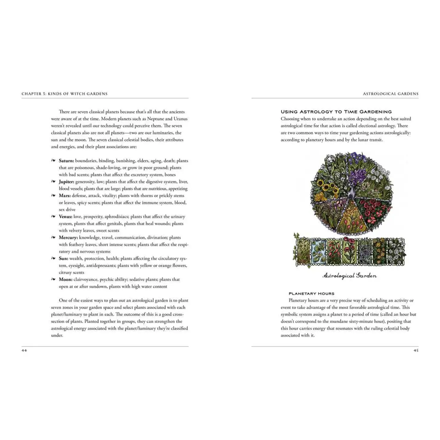 Simon & Schuster - Green Witch's Garden by Arin Murphy-Hiscock - Lunar Squirrel’s Puntique