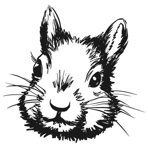 Lunar Squirrel’s Puntique